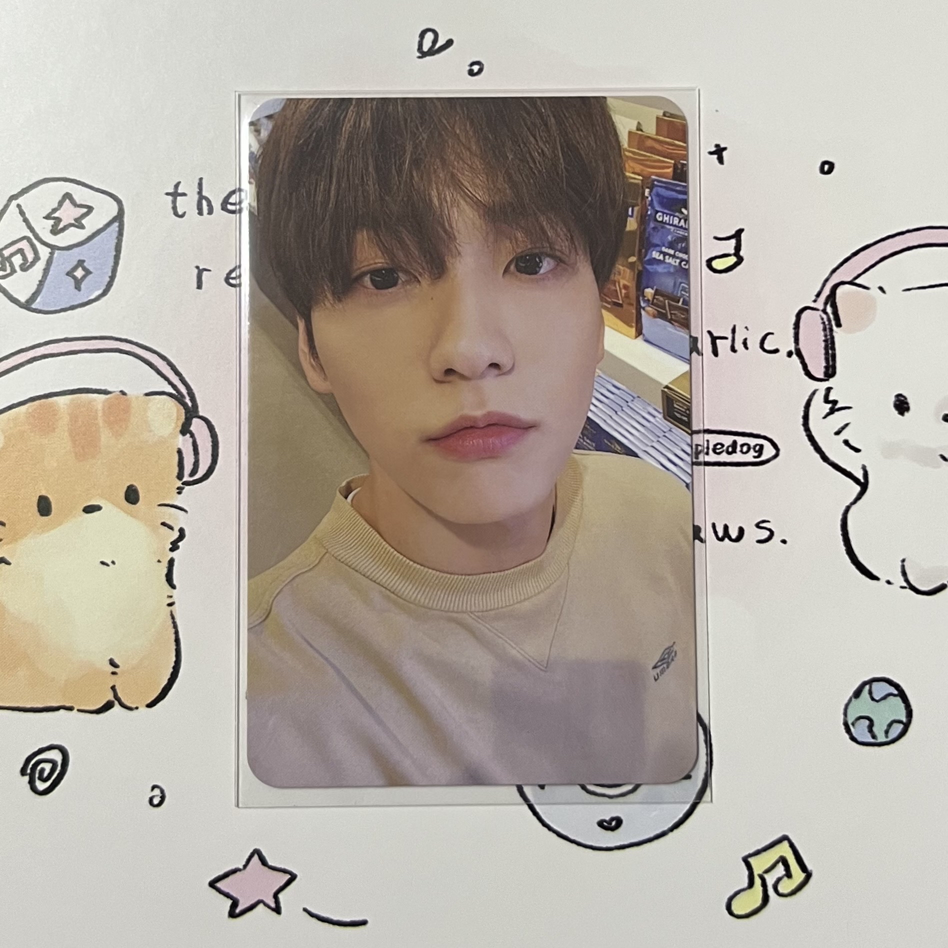 崔秀彬美巡寫真卡