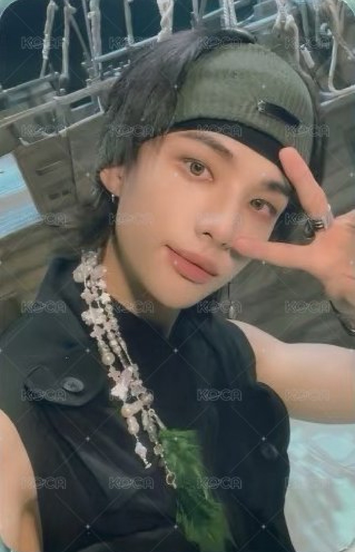 樂star jyp辰特典