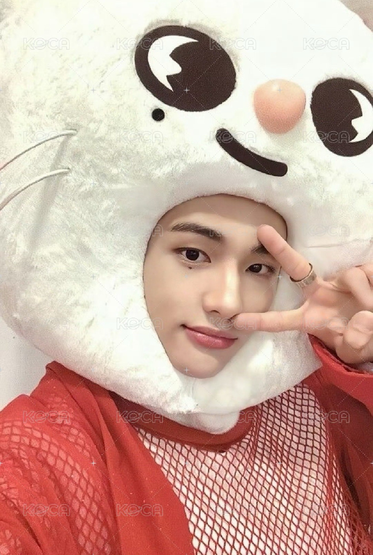 不簡單 sw一代大頭辰特典