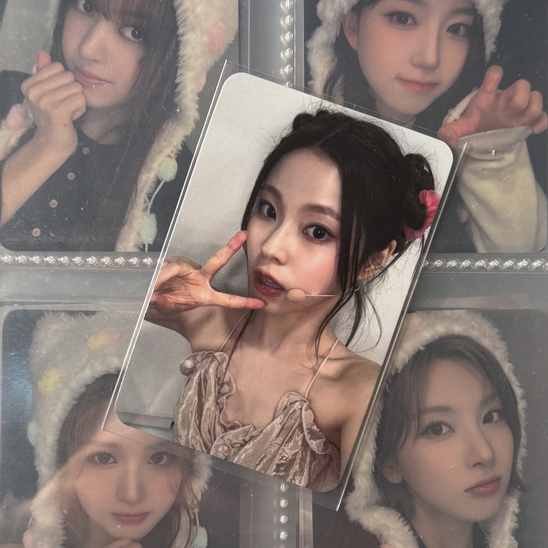 ✅仲夏夜 sr預售 特典卡 圭