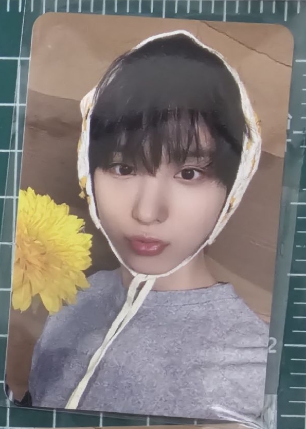 Kickflip-主汪迷三ms簽售特典向日葵