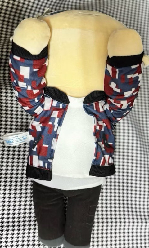 【現貨】BTS SEGA 金泰亨 大娃 V 趴趴娃 TinyTAN 日本 景品 夾娃娃機 娃娃