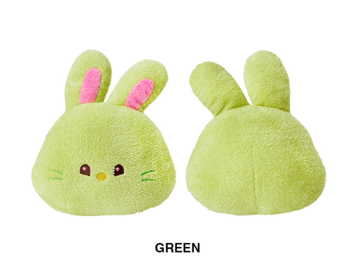 NewJeans LINE FRIENDS快閃 抱枕 bunini 靠枕 GREEN