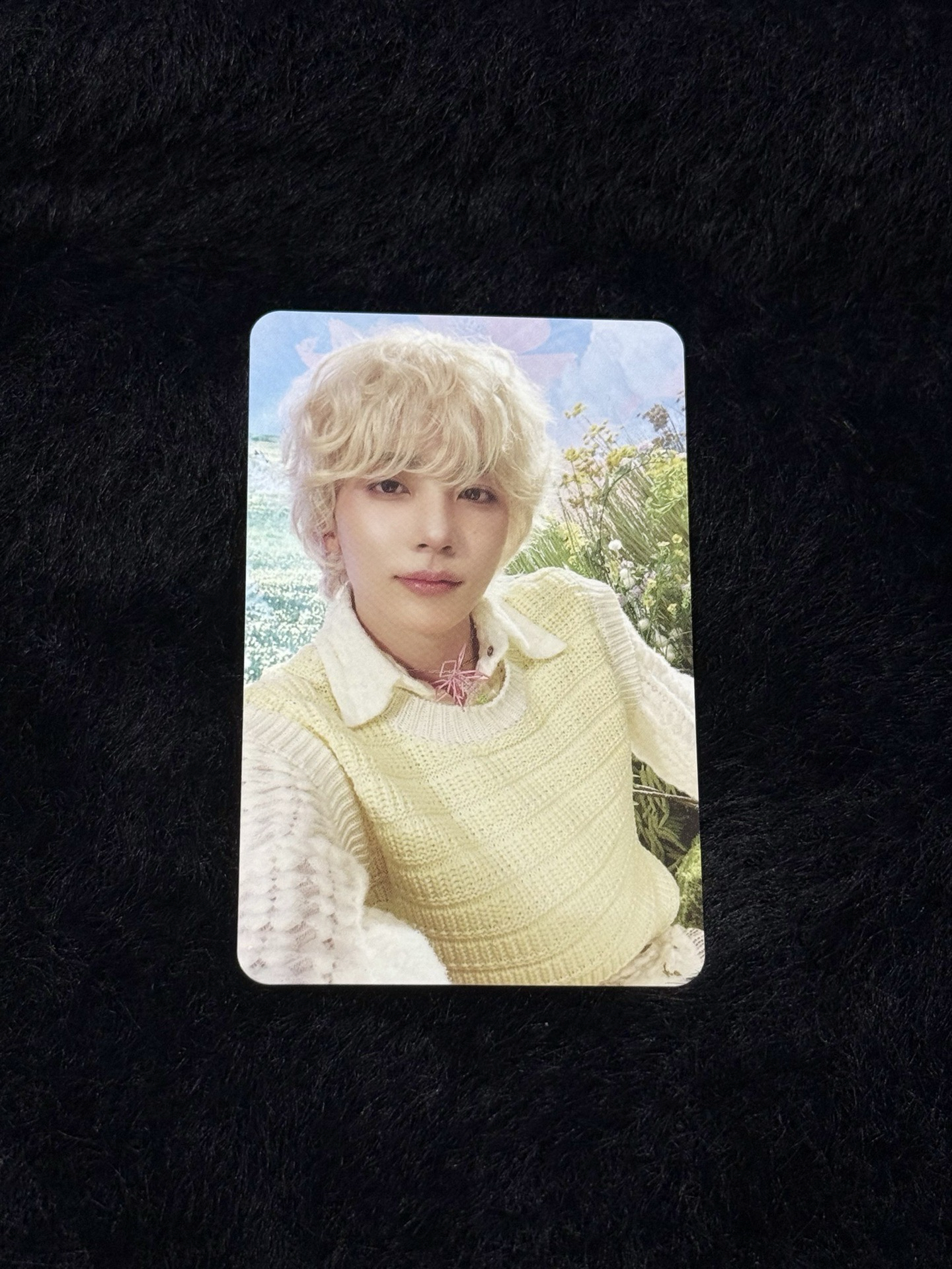 [THIS MAN] 金髮漢