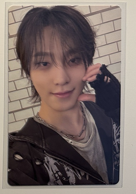 正規五 wvs特典 燦