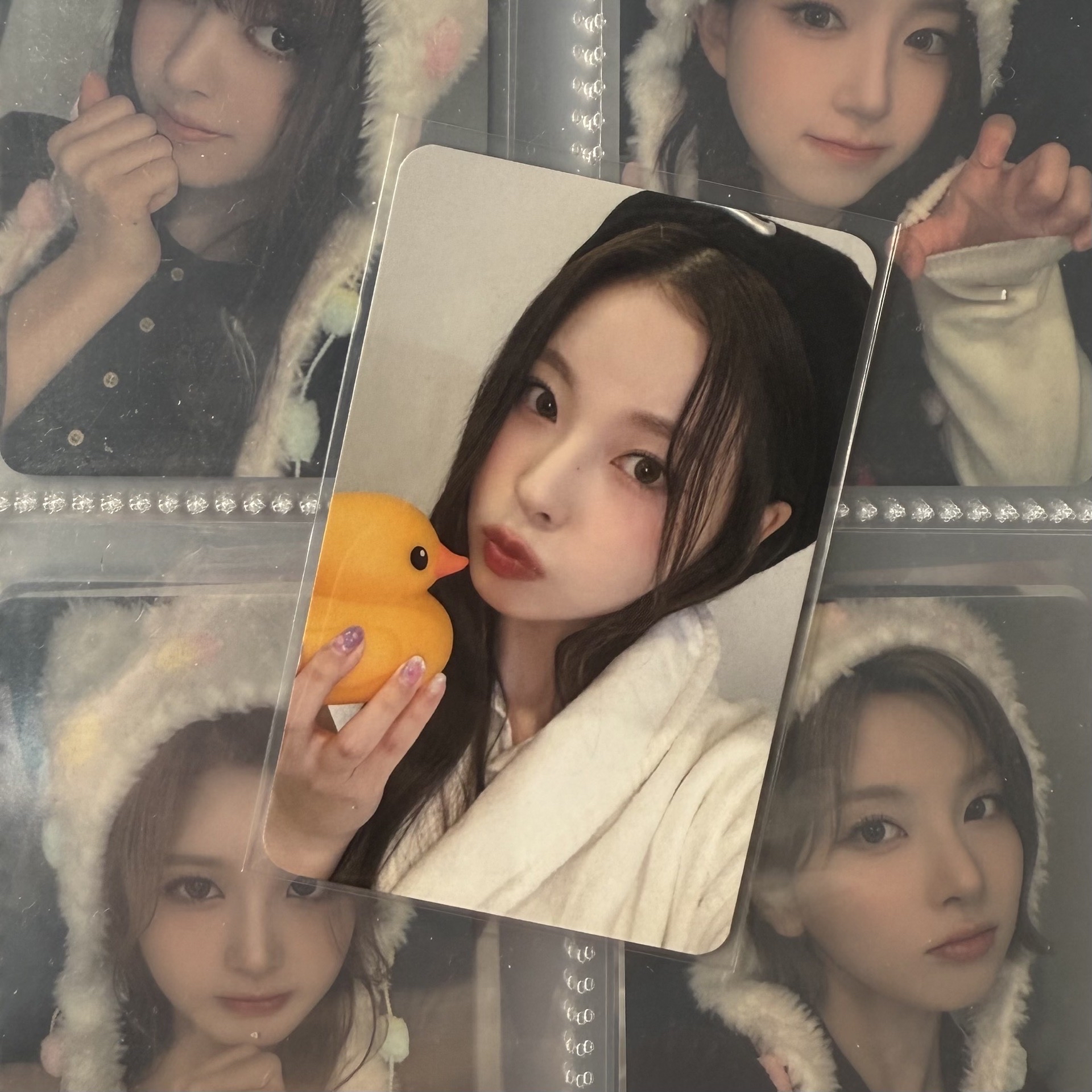 仲夏夜 ms小鴨 圭