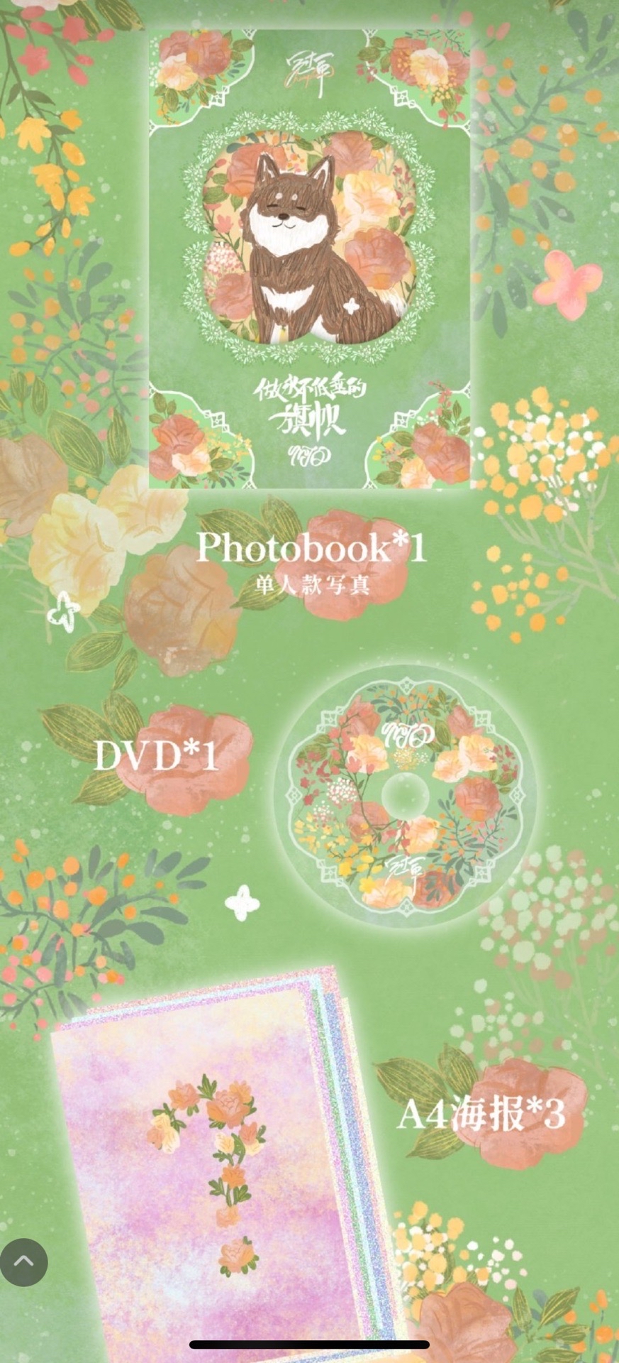 【TNT】大連冠軍 耀文全套/無卡全套