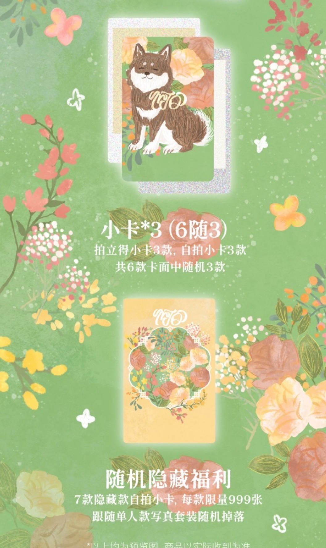 【TNT】大連冠軍 耀文全套/無卡全套