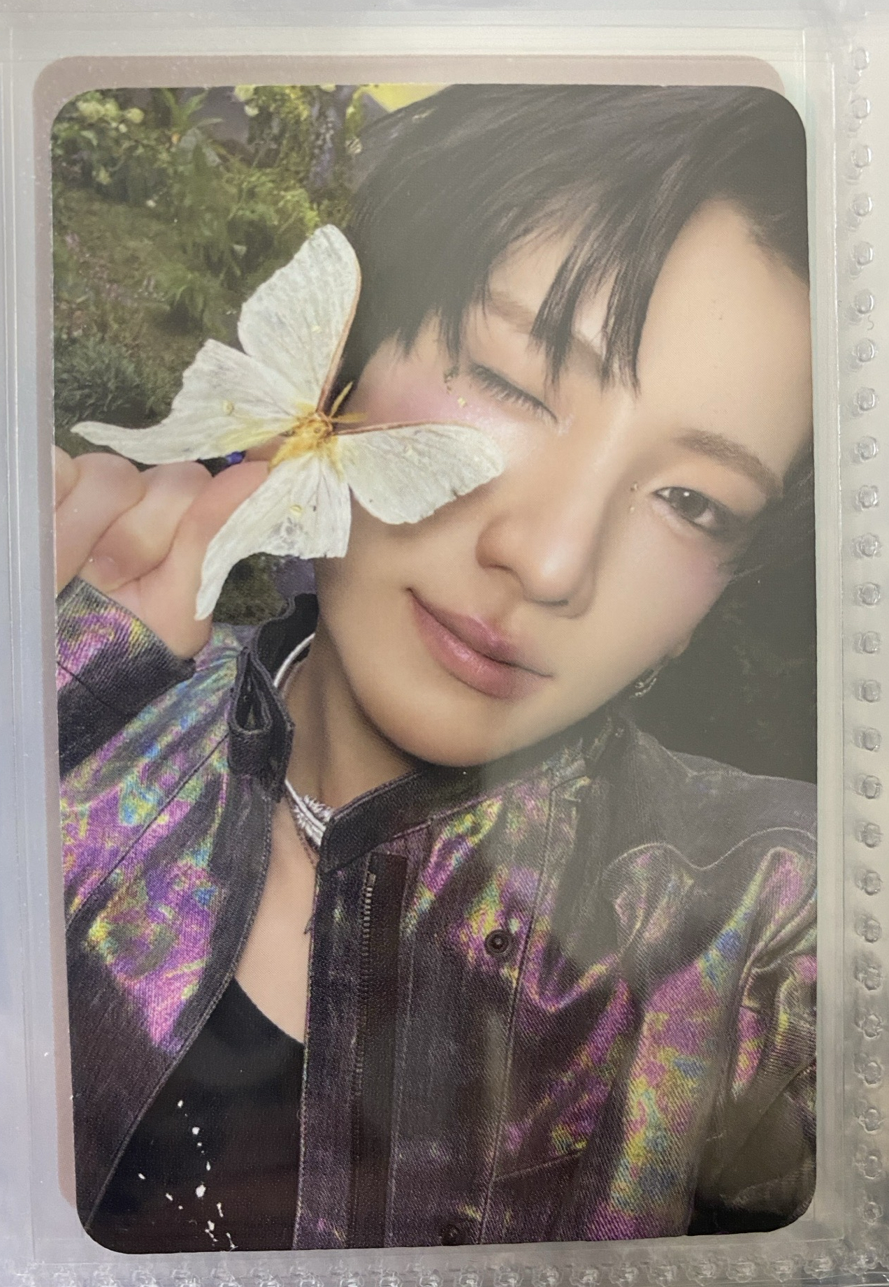 BTL 單封專卡 蝴蝶YUMA