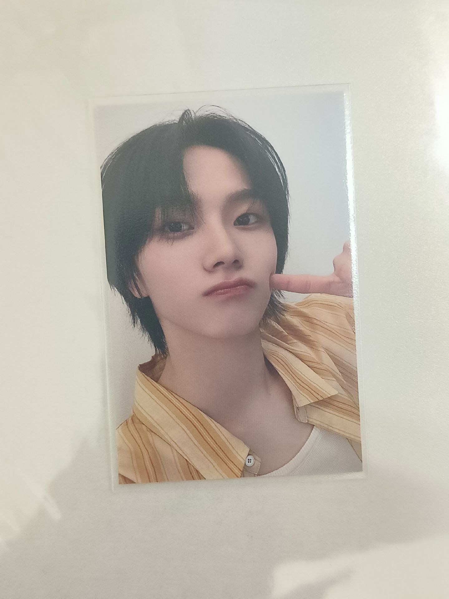 【需綁$900】WHY.. 日咖抽選 黃衣戳臉成淏 