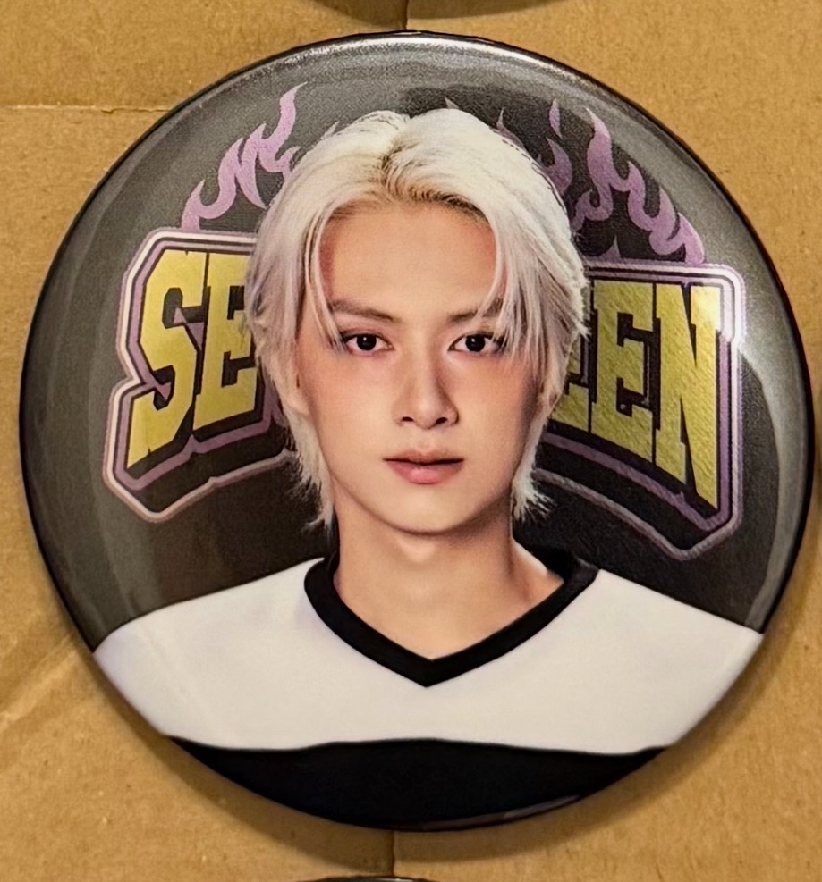 seventeen home/holiday/new/cafe 徽章們