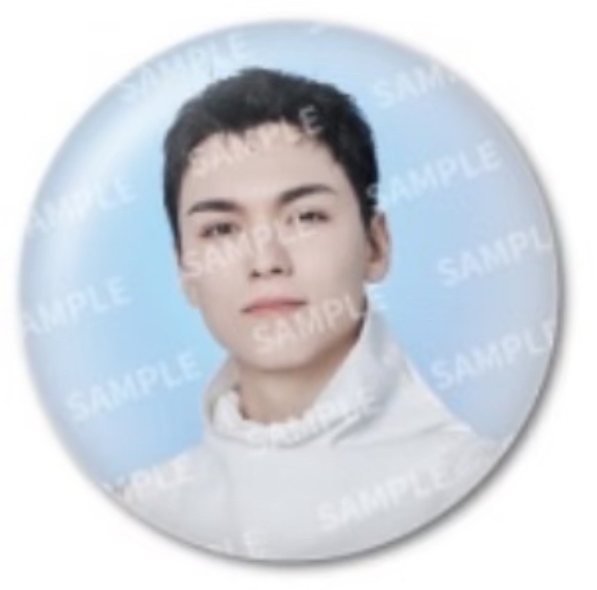 seventeen home/holiday/new/cafe 徽章們