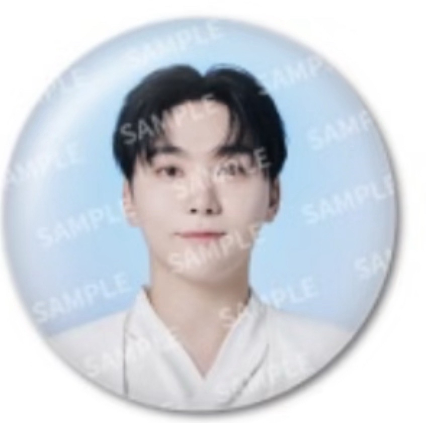 seventeen home/holiday/new/cafe 徽章們