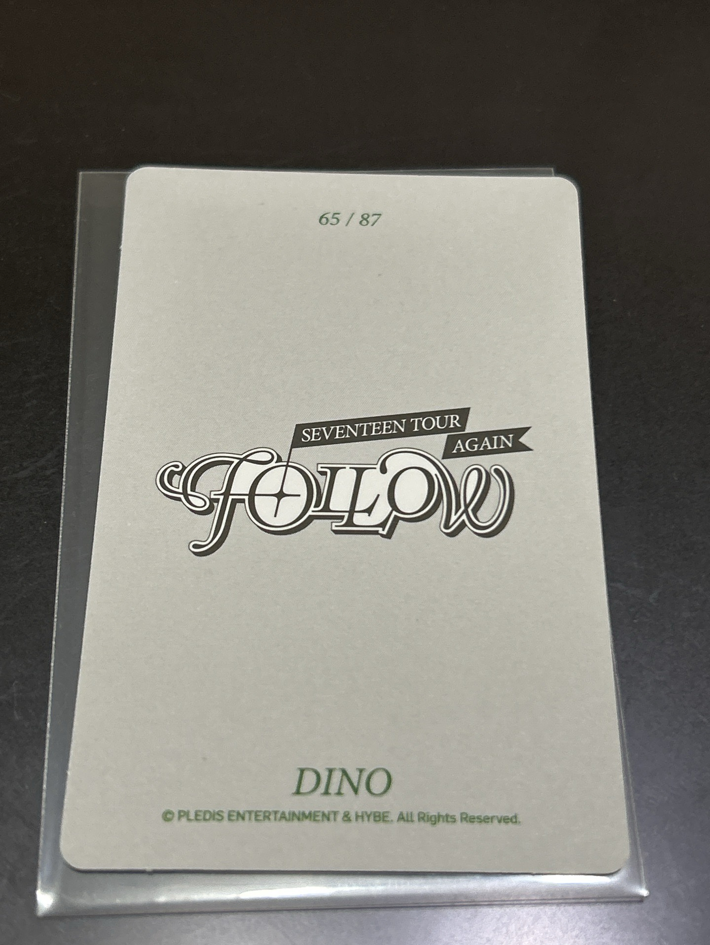 Dino FOLLOW AGAIN 隨機卡 