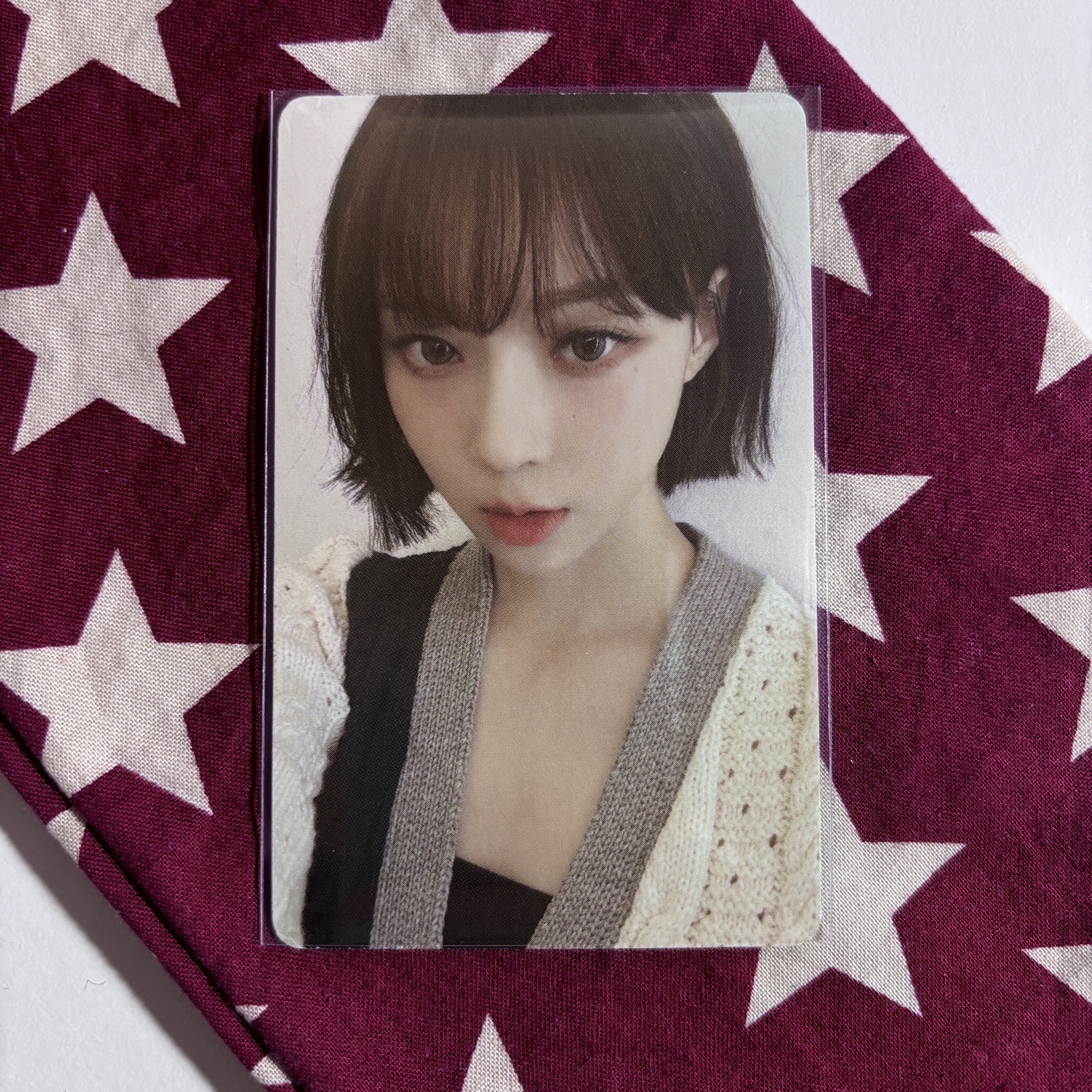 Govball 音樂節隨機卡 冬 ⋆.˚⊹⁺