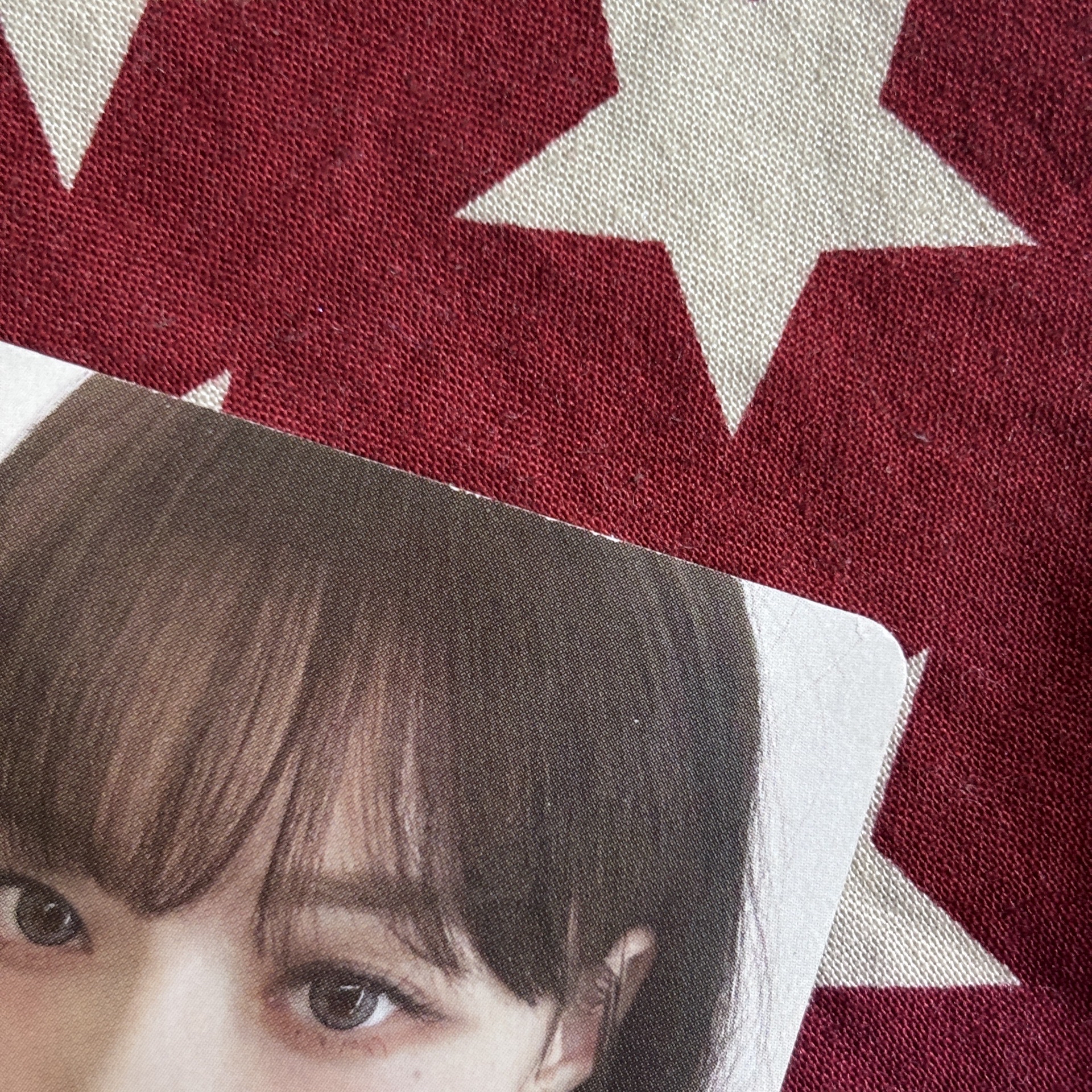 Govball 音樂節隨機卡 冬 ⋆.˚⊹⁺