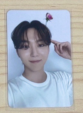 💛精選專親愛盤隨機卡 寛