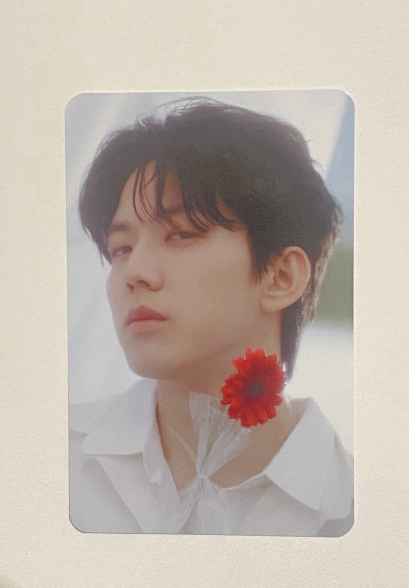 🐶飯咪隨機小卡🍀