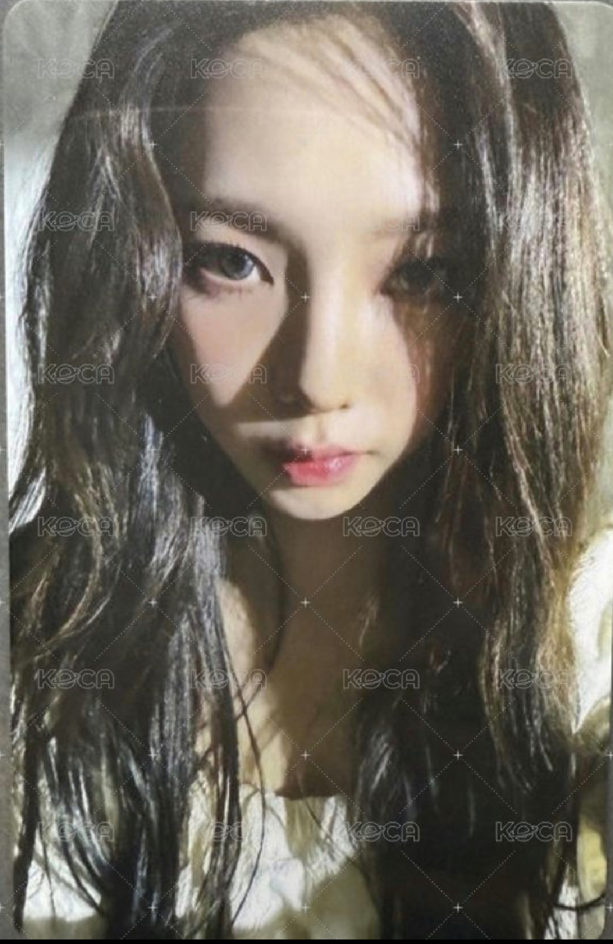 越南柚（pvc 材質）