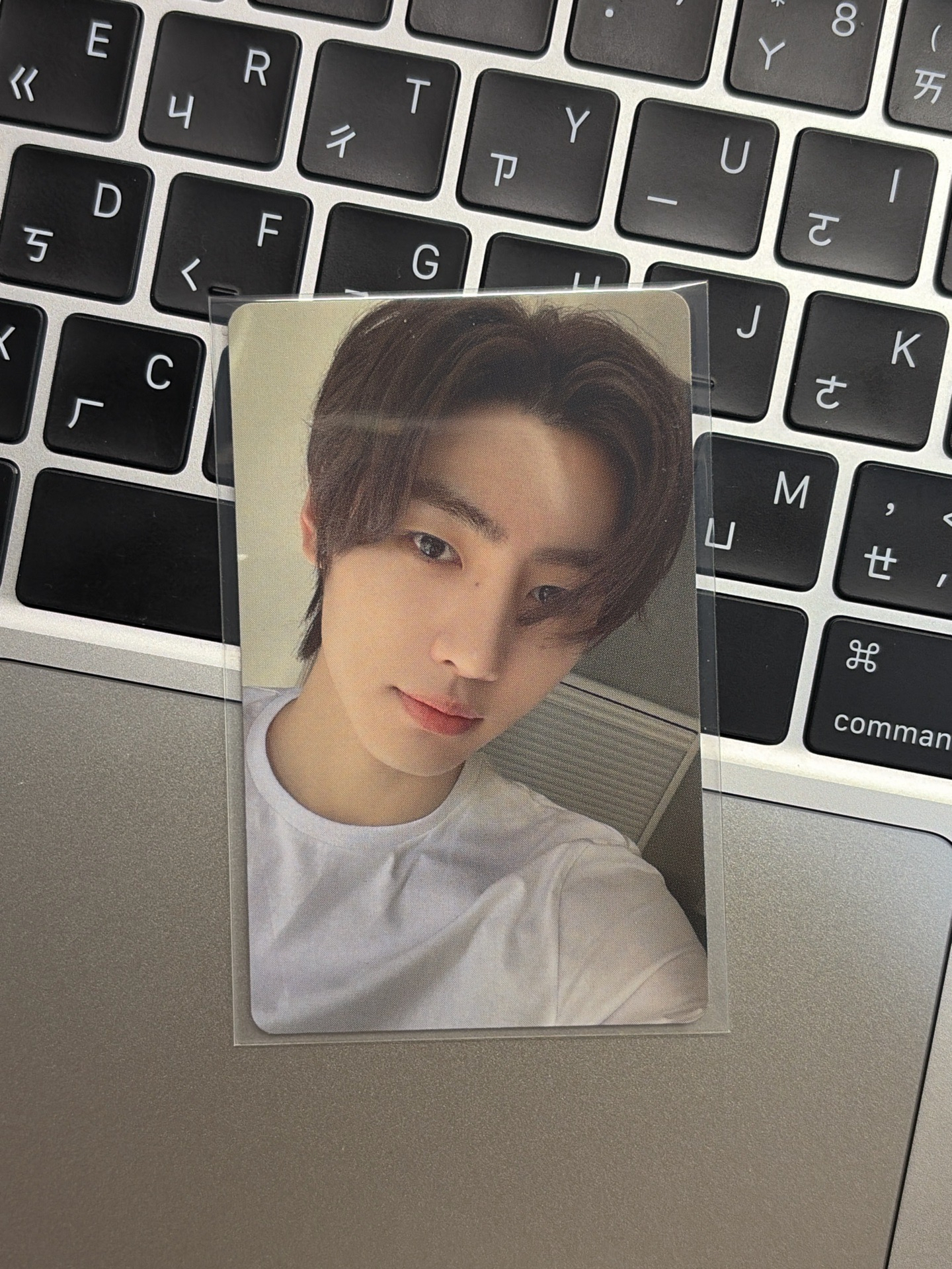 迷四 朴成訓 WVS特典卡