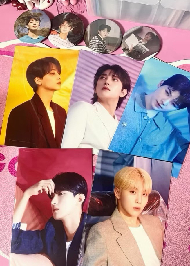 （按小分隊為一套）seventeen insight 明信片 套組 