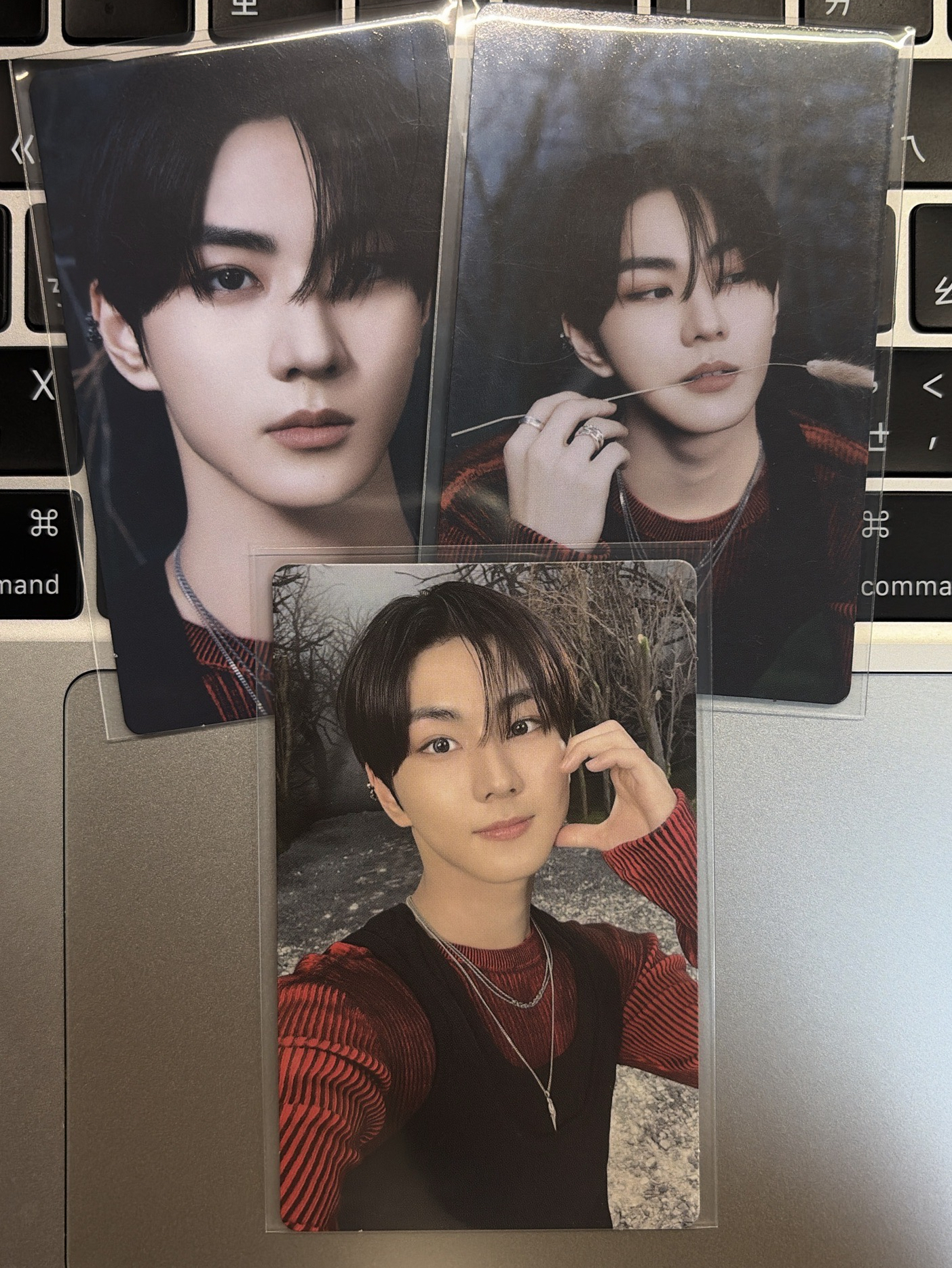 WTL 梁禎元 隨機卡（三張不拆）