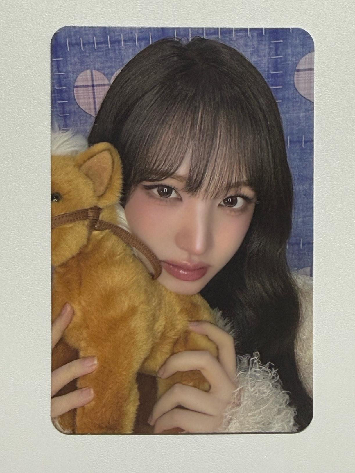 IVE 26 年曆 船特 栗