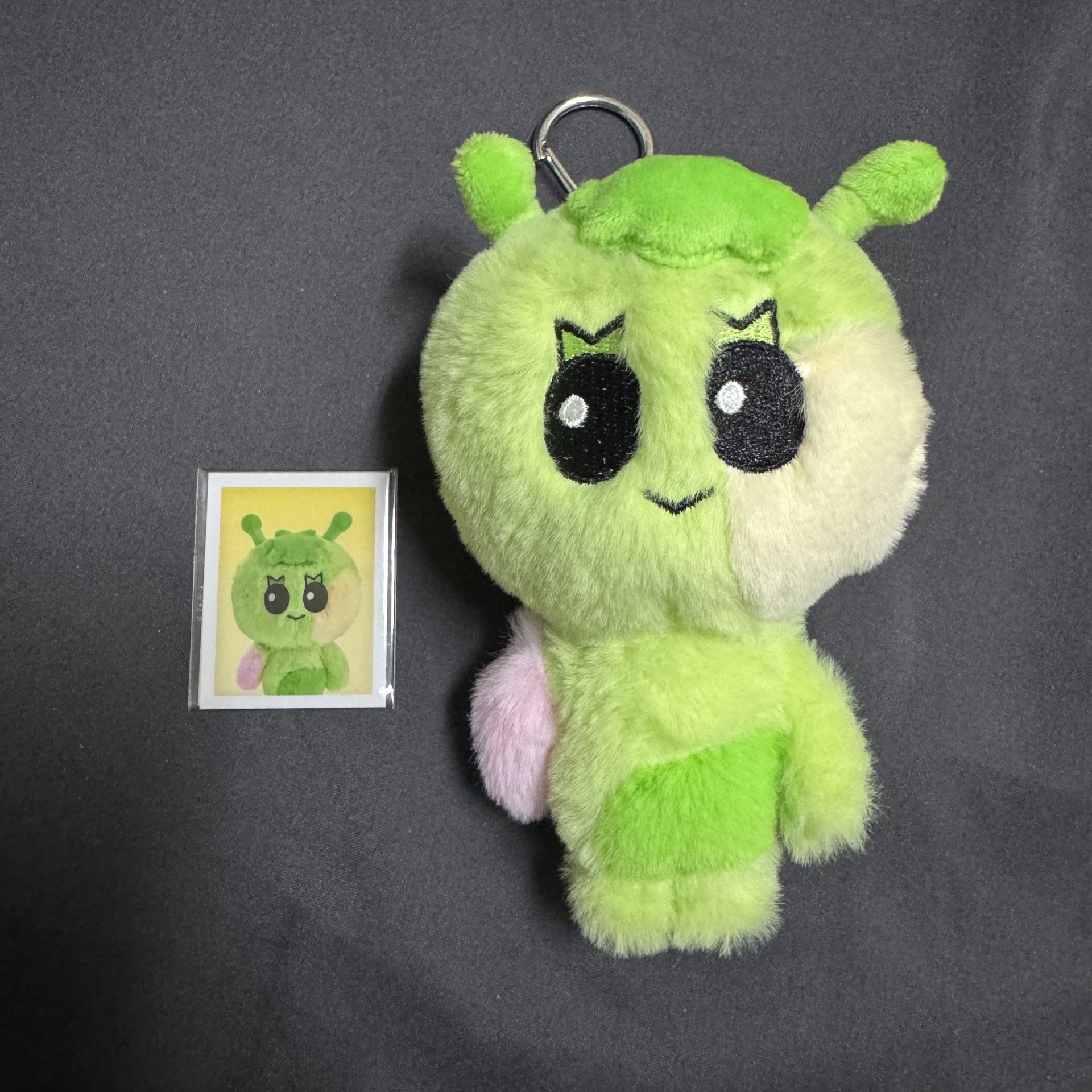 BOYNEXTDOOR 312玩偶