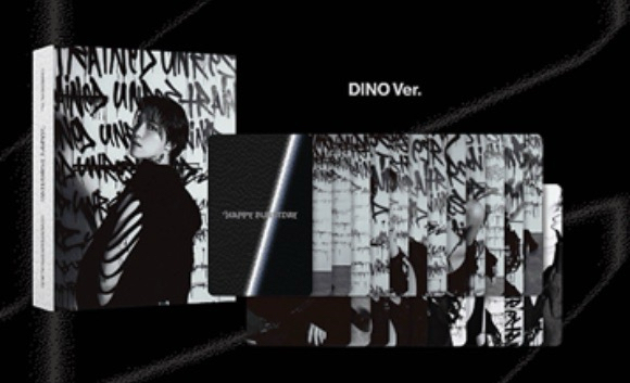 SEVENTEEN 正規五 克拉盤 空專 李碩珉 李燦 DK DINO