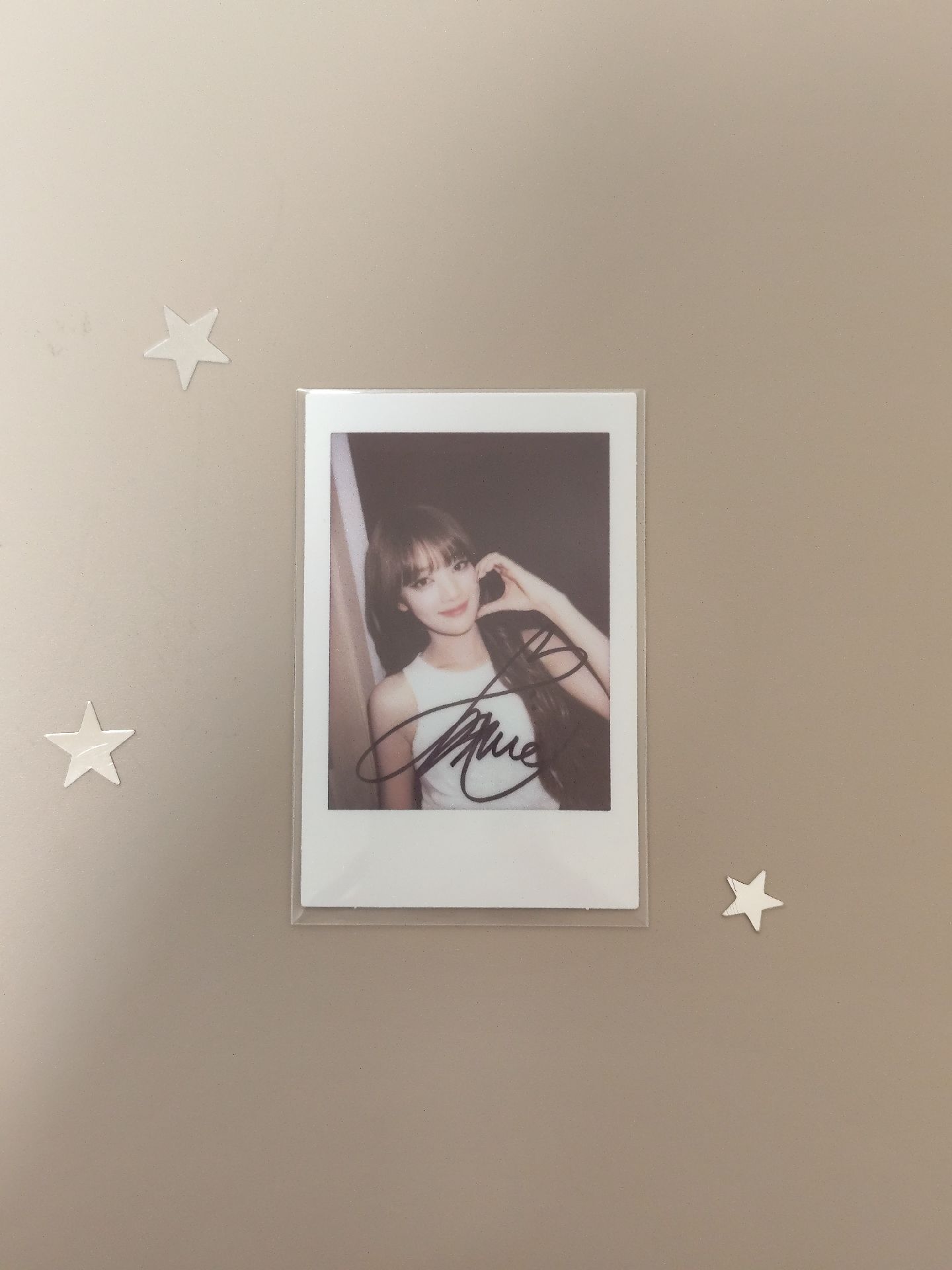 24年 DVD預售妮拍