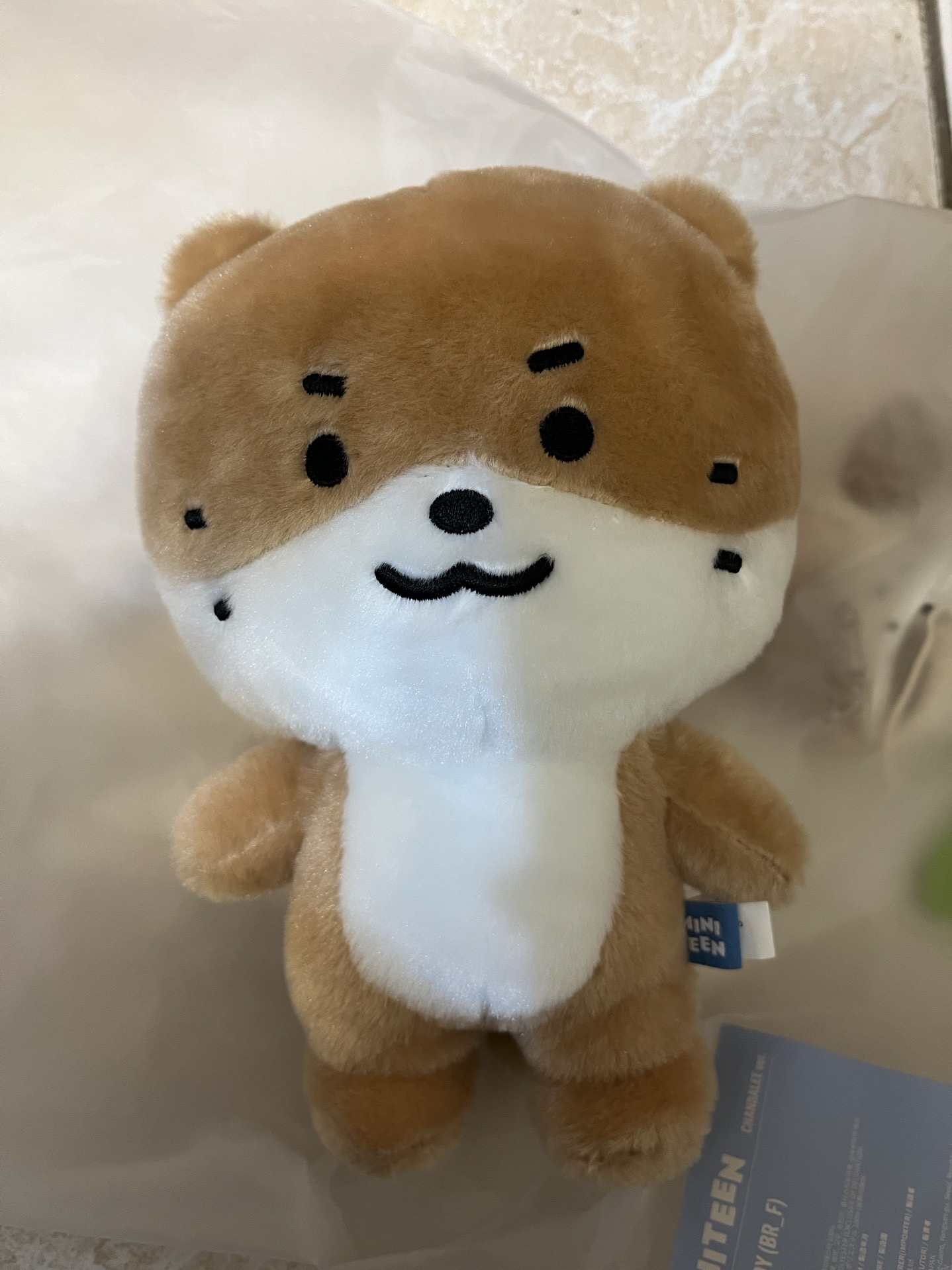 MINITEEN 站娃 李燦