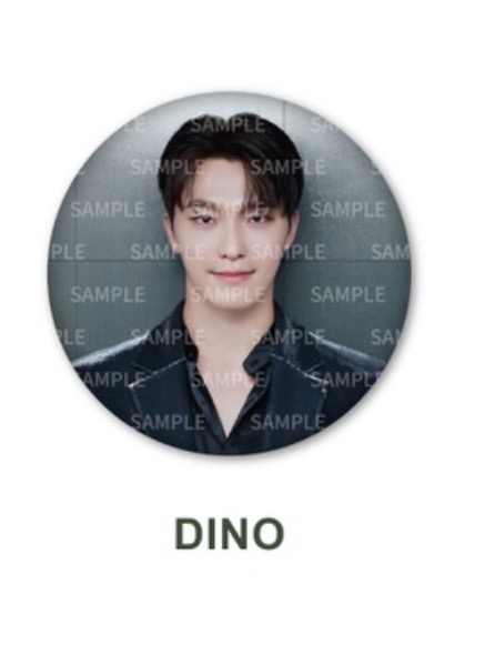 🔵SEVEVTEEN RIGHT HERE JAPAN 徽章 李燦