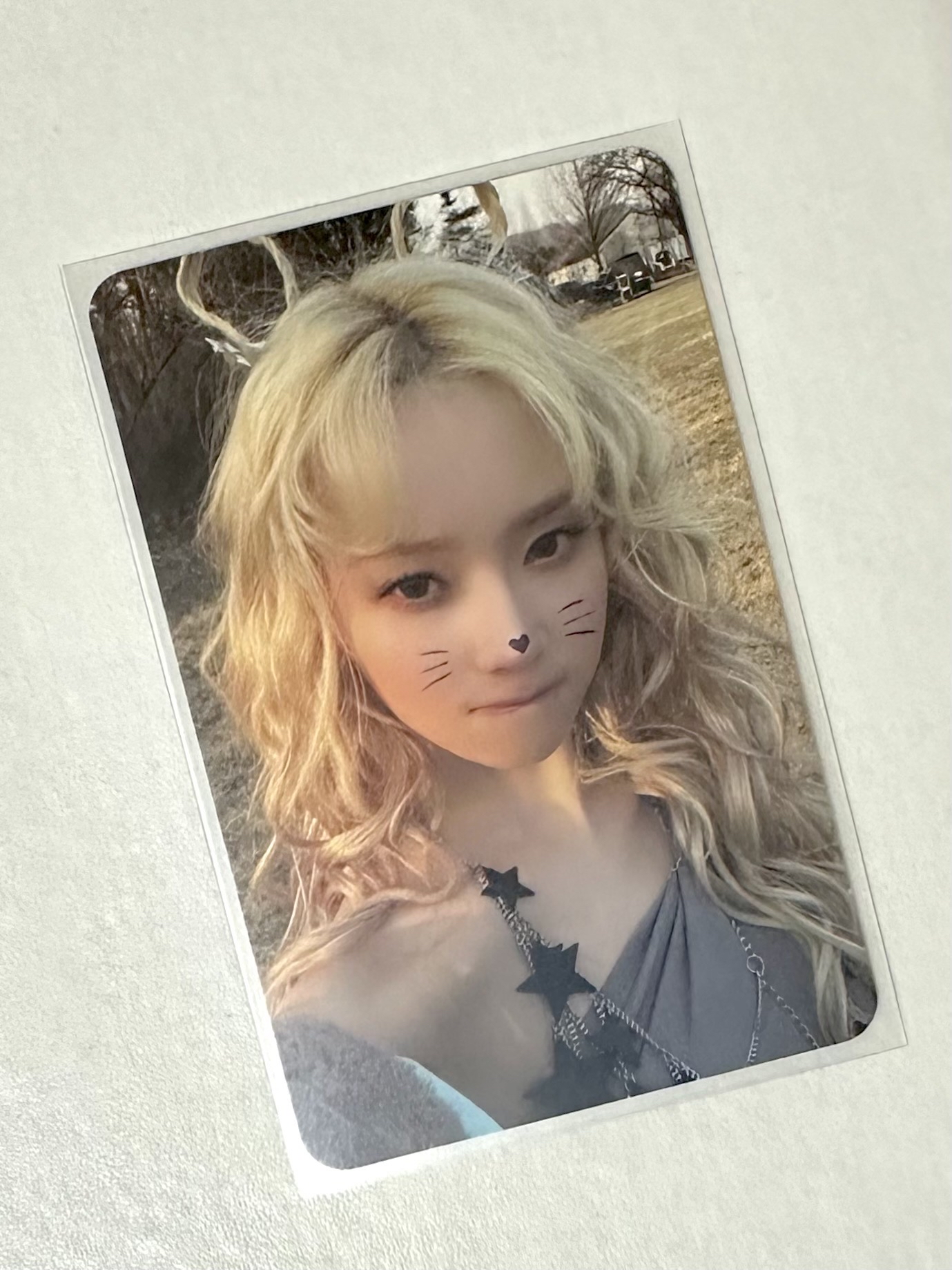 aespa 正規一 專輯卡 ZINE版冬 貓咪冬 winter