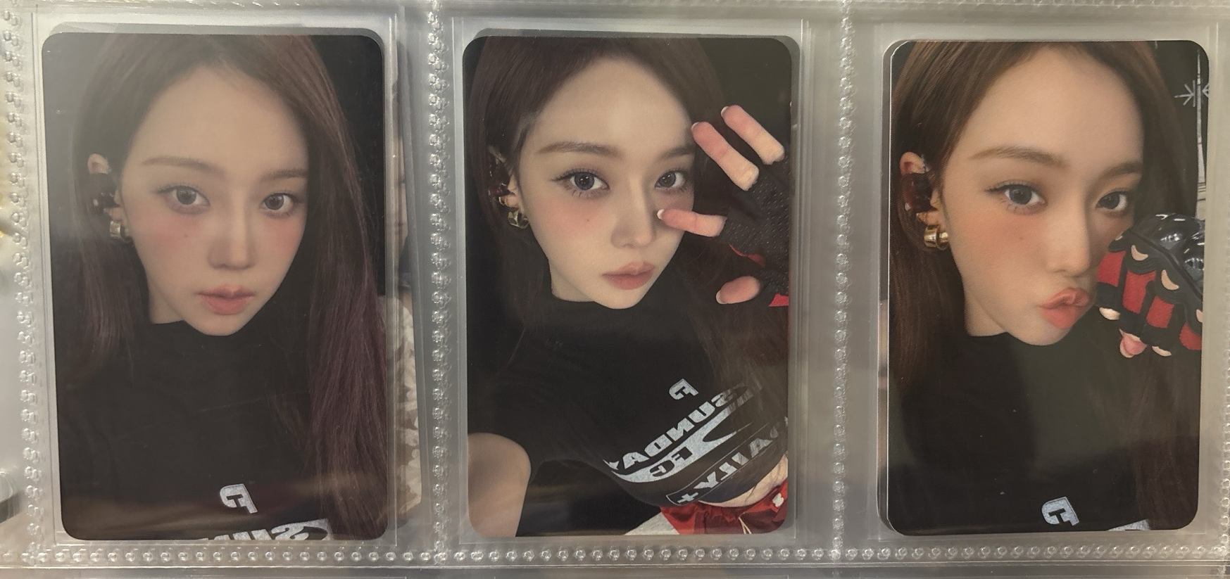 台灣拼盤造型冬