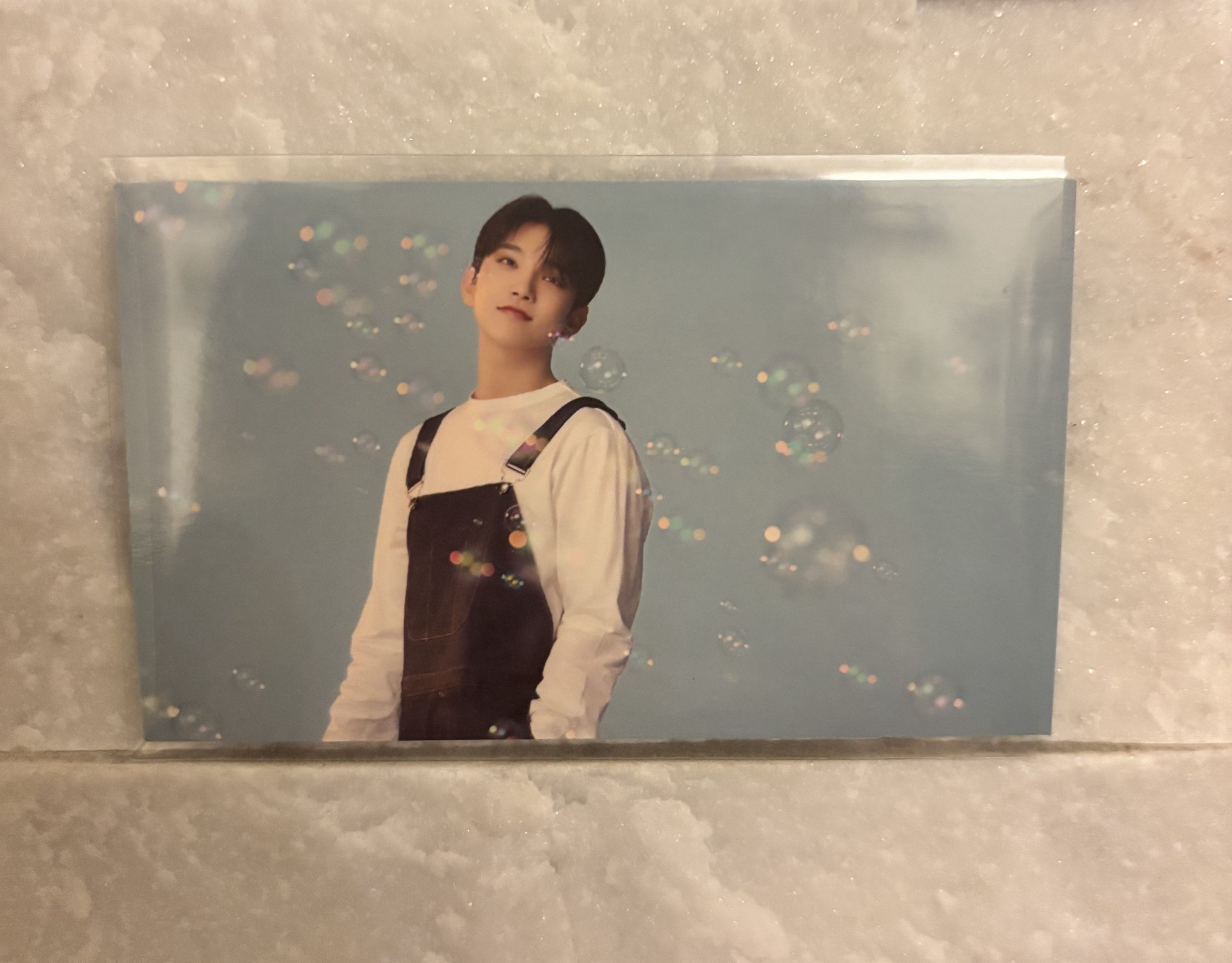 泡泡秀 dream hmv特典卡