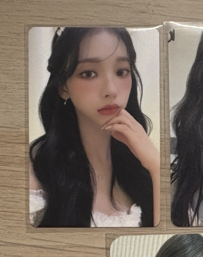 23年曆 固配 公主柚