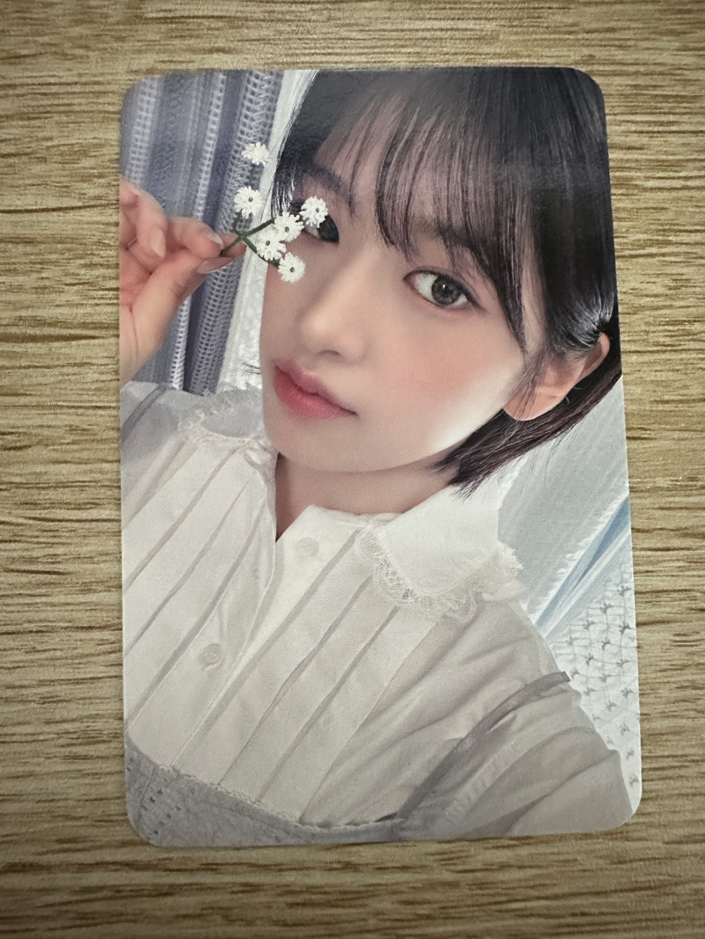 24 年曆 sw 特典卡 安