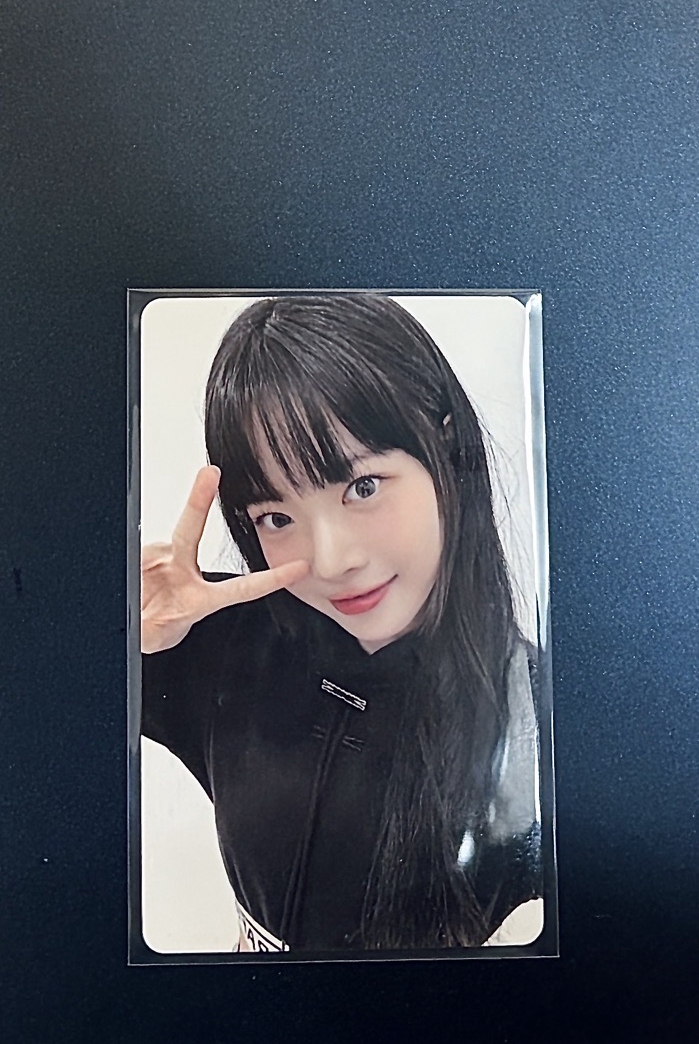 🐣恩採 正規一 WVS預售特典