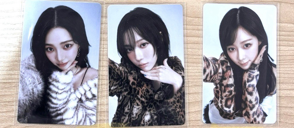 日巡隨機卡 柚冬吉💟