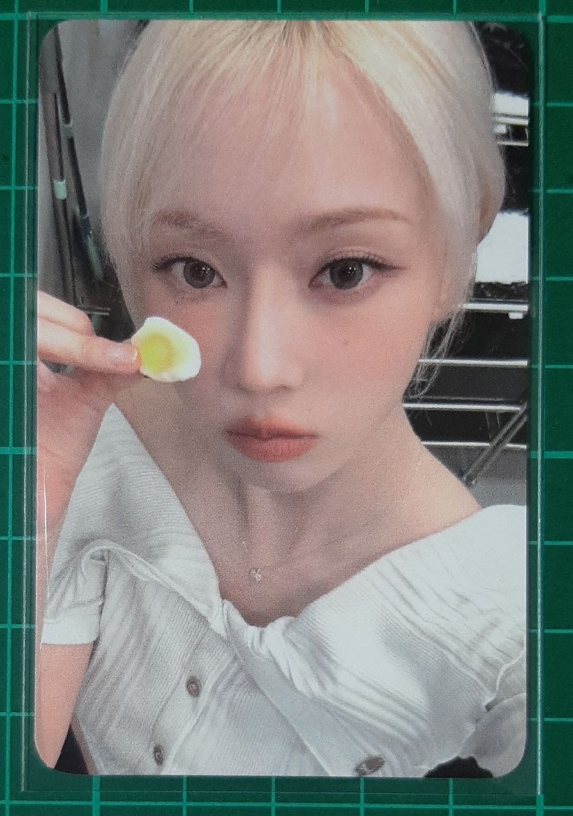 正規一 k4 簽售卡 簽售冬