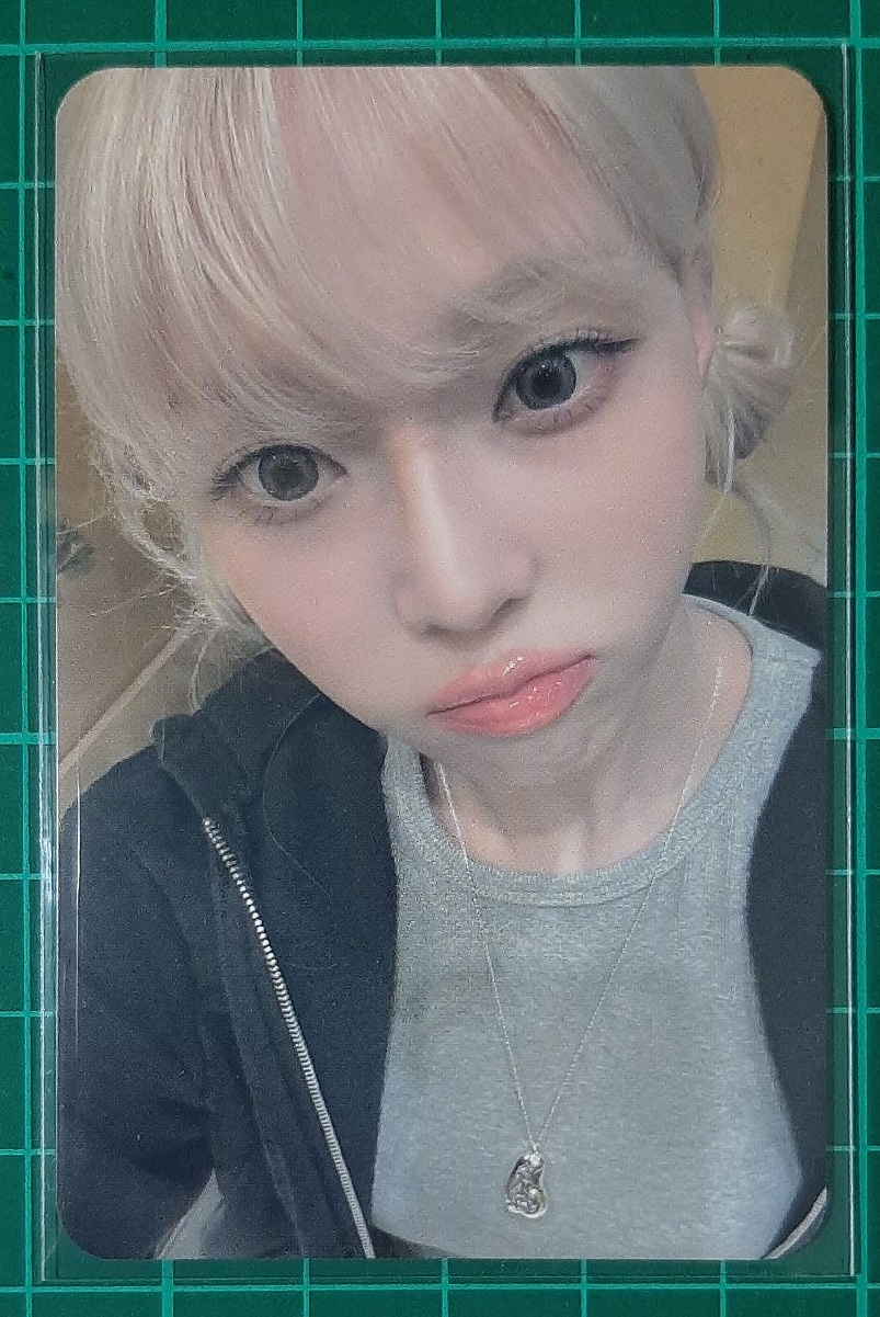 正規一 bdm 簽售卡 大邱冬