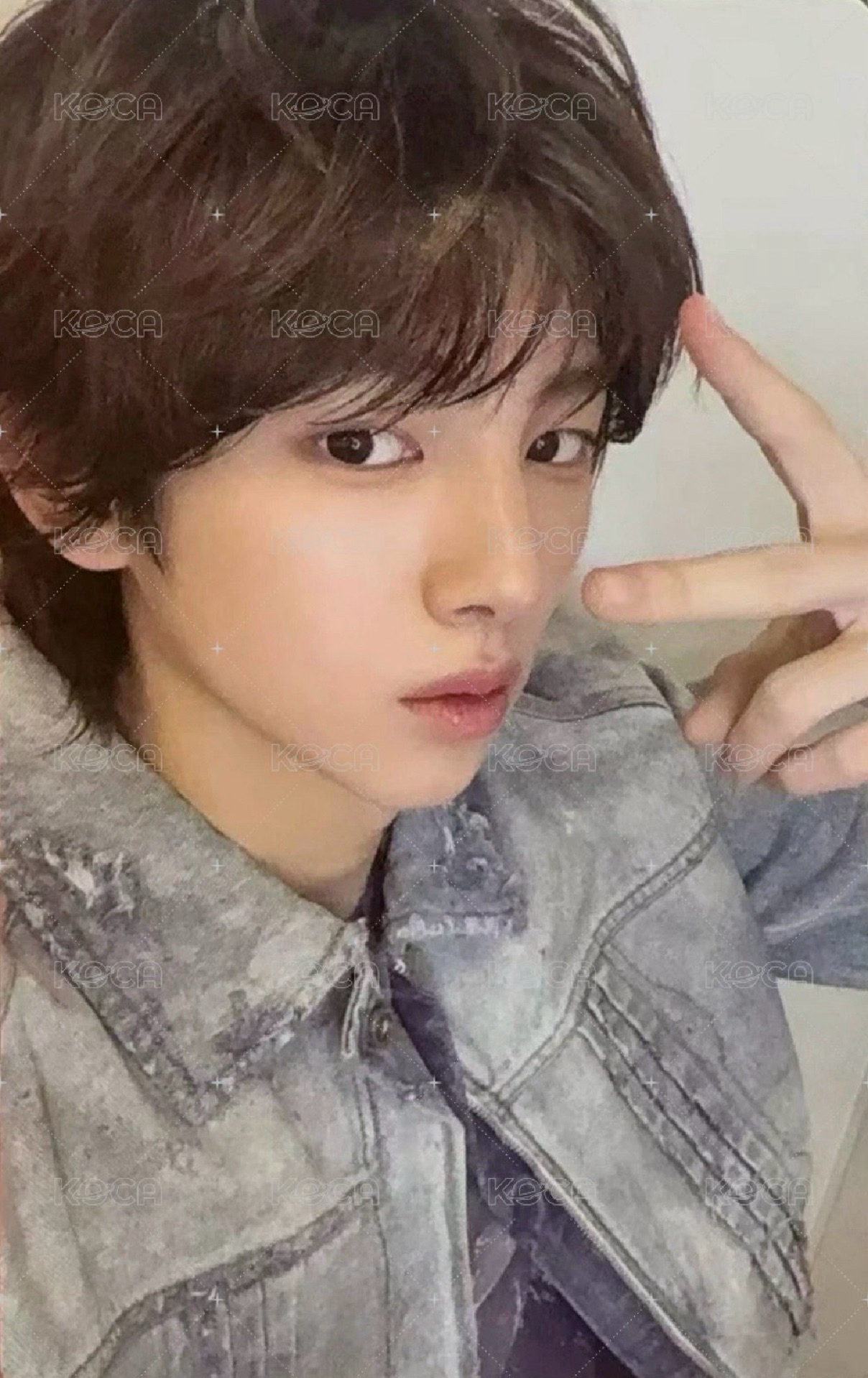 迷一 wvs 直播卡 AAA live玹+訓2張不拆售