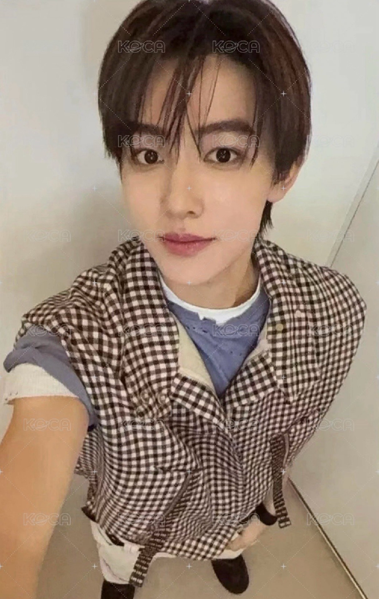 迷一 wvs 直播卡 AAA live玹+訓2張不拆售