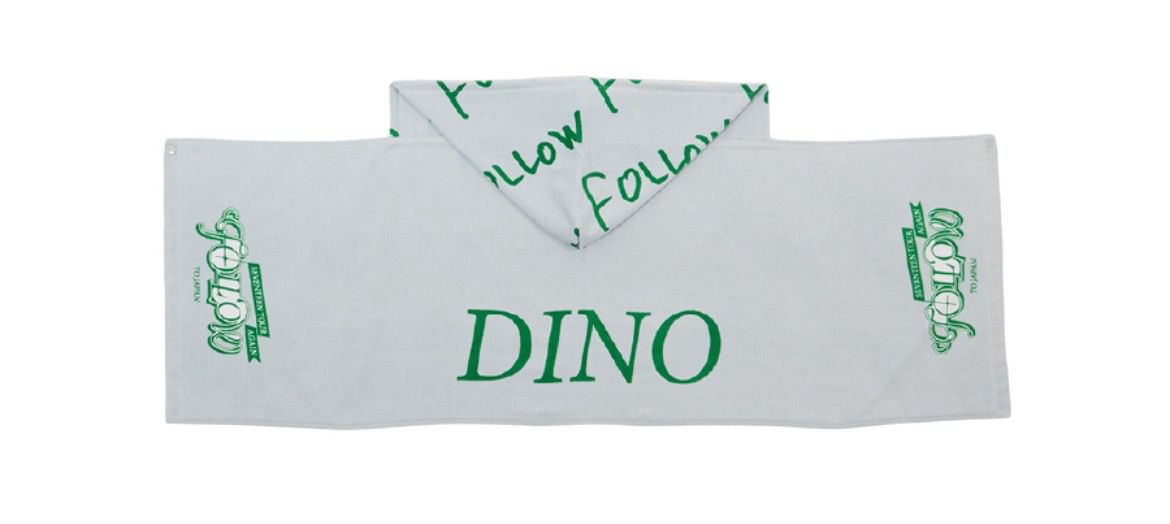 SEVENTEEN FOLLOW AGAIN TO JAPAN 毛巾帽 李碩珉 李燦