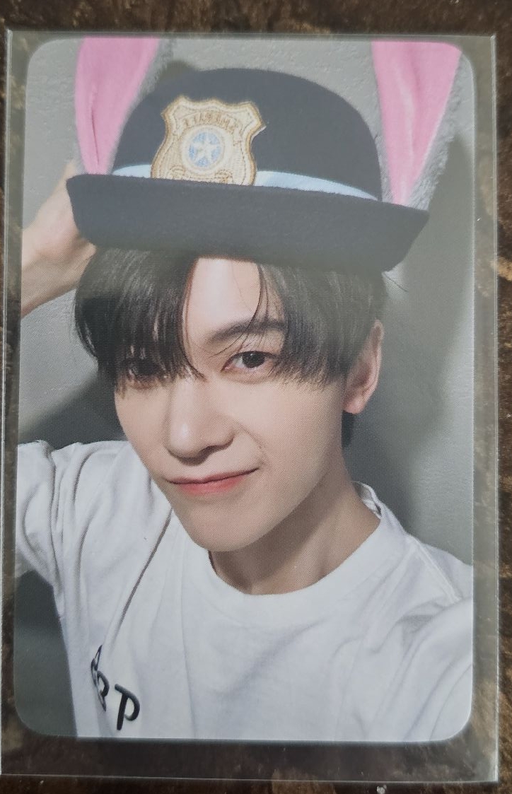 ZB1 動物方程式 修