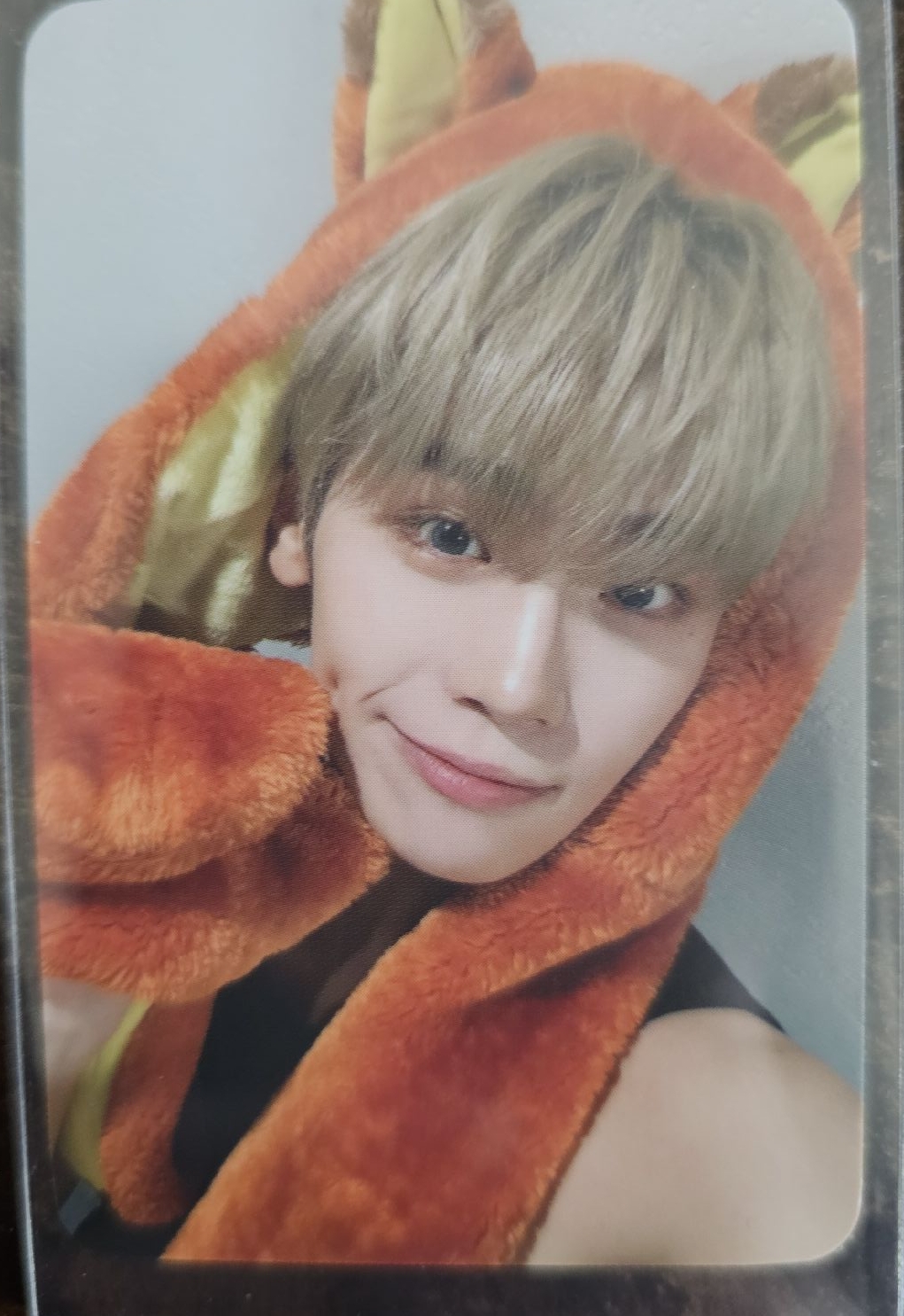 ZB1 動物方程式 來