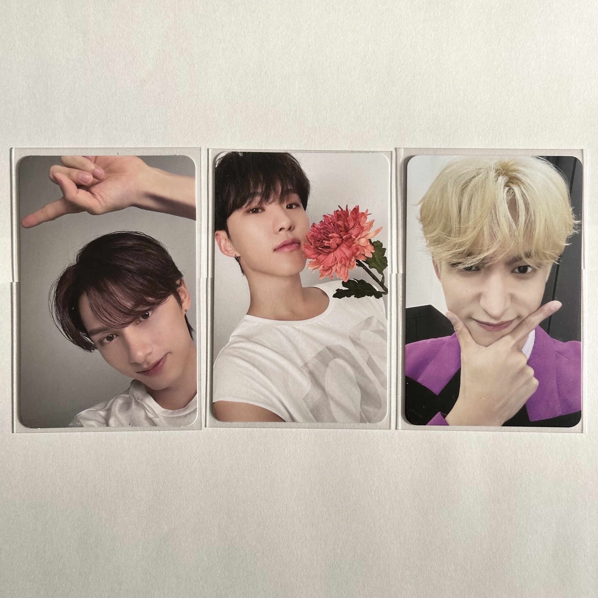 𝖲𝖵𝖳｜精選專、迷12 克拉盤專卡