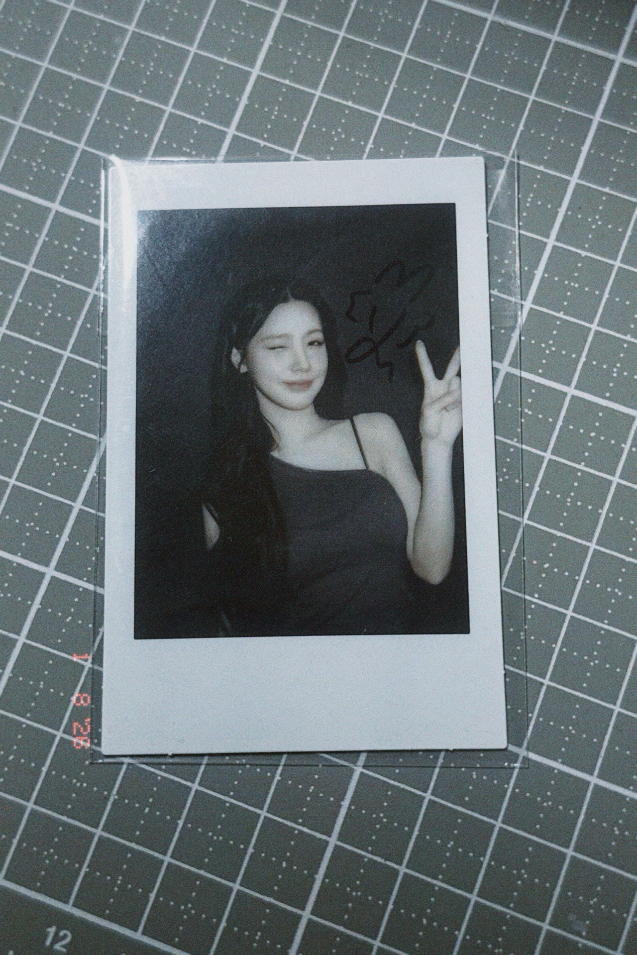 世巡DVD拍立得麵