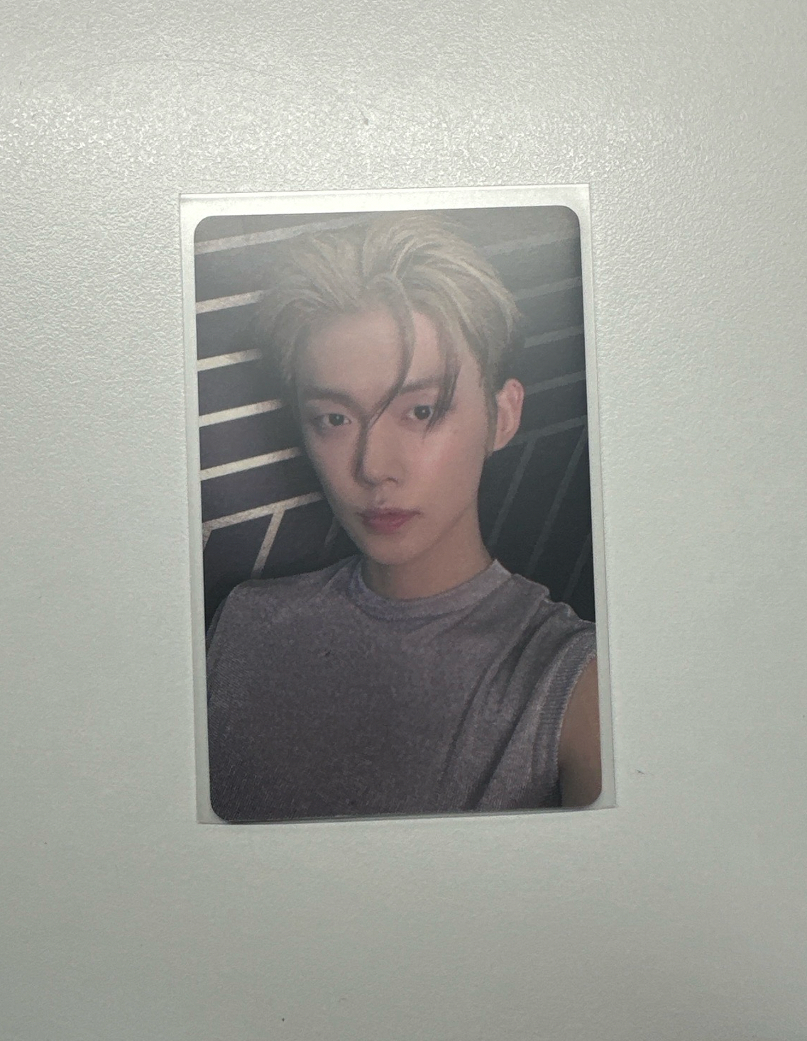 正四上海簽售卡（中背）