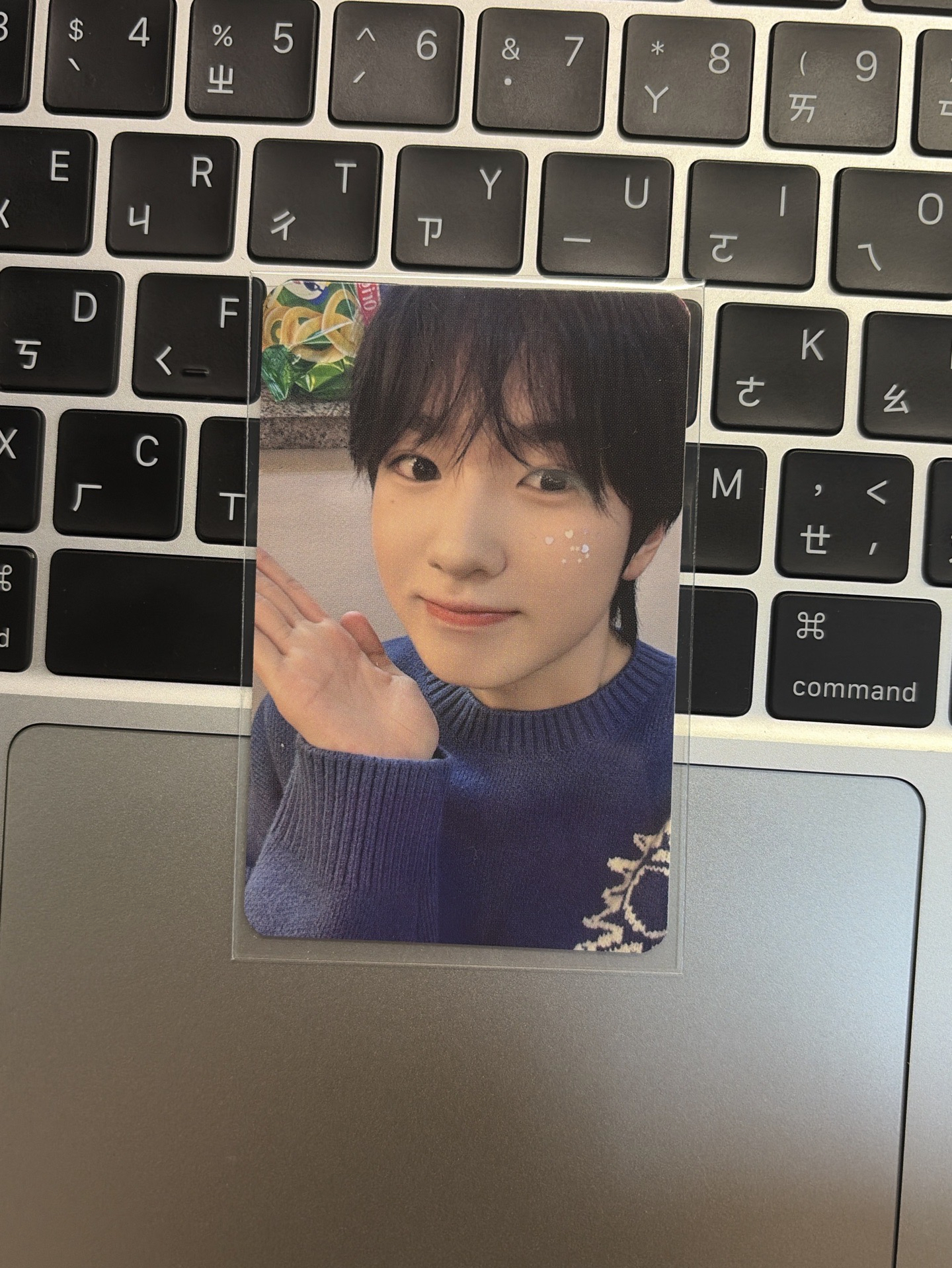 藤永咲哉 娃包卡